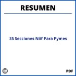Resumen 35 Secciones Niif Para Pymes