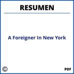 A Foreigner In New York Resumen