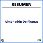 Resumen Del Almohadón De Plumas