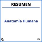 Resumen De Anatomía Humana Pdf
