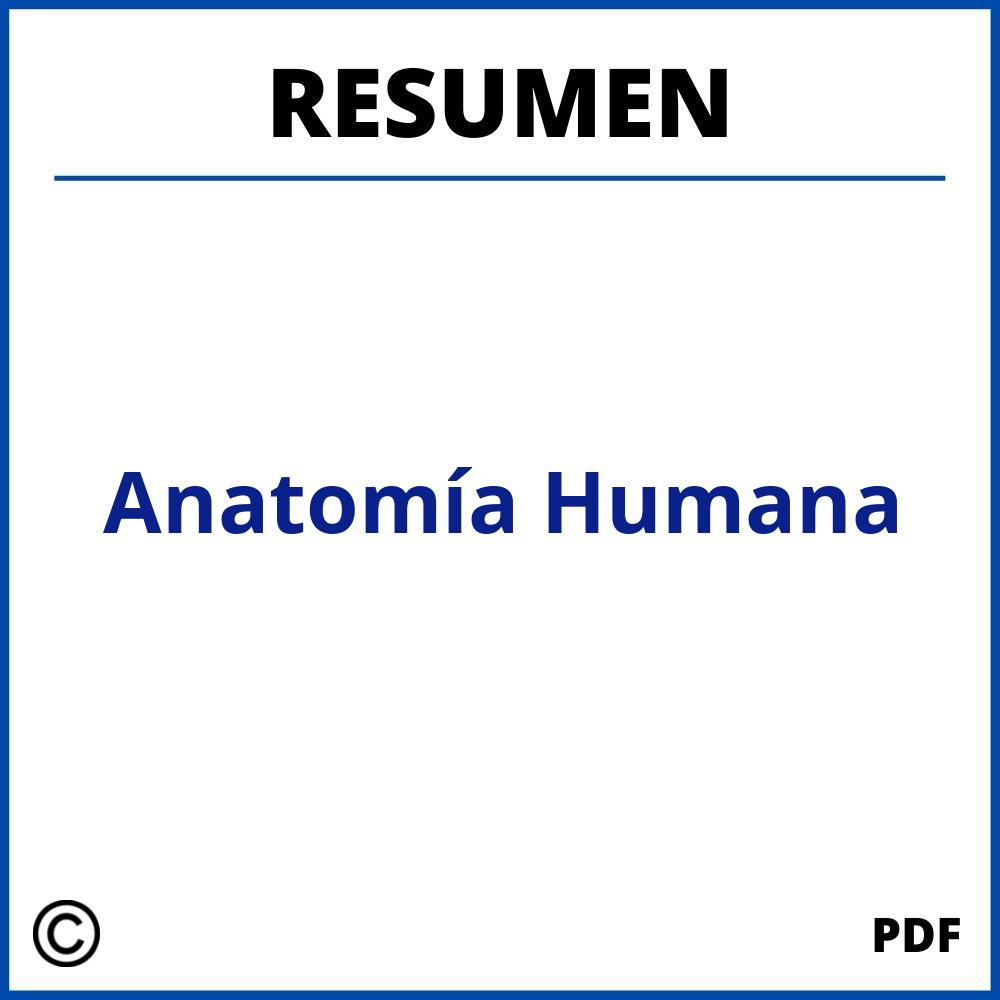 Resumen De Anatomía Humana Pdf
