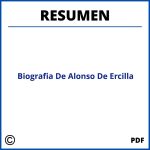 Biografia De Alonso De Ercilla Resumen