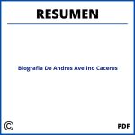 Biografia De Andres Avelino Caceres Resumen