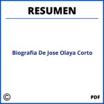 Biografia De Jose Olaya Resumen Corto