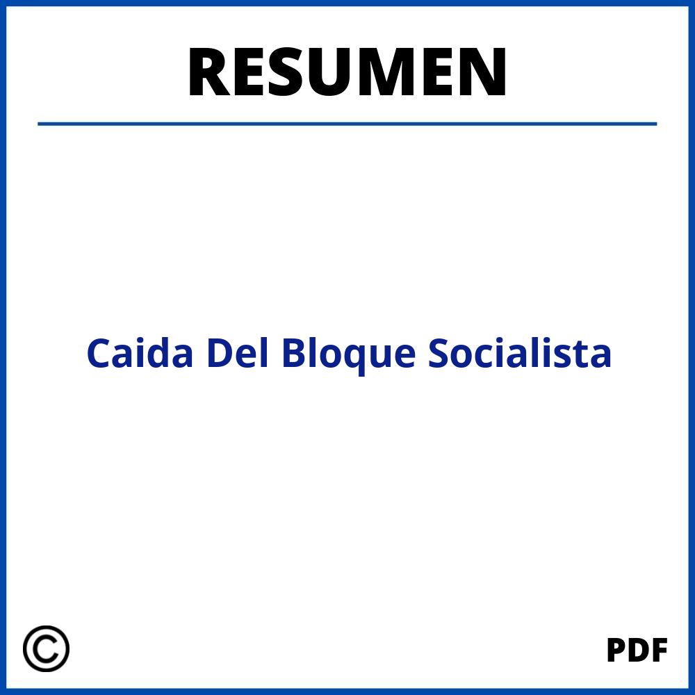 Caida Del Bloque Socialista Resumen