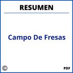 Resumen De Campo De Fresas