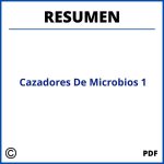Resumen De Cazadores De Microbios Capitulo 1