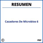 Cazadores De Microbios Resumen Capitulo 6