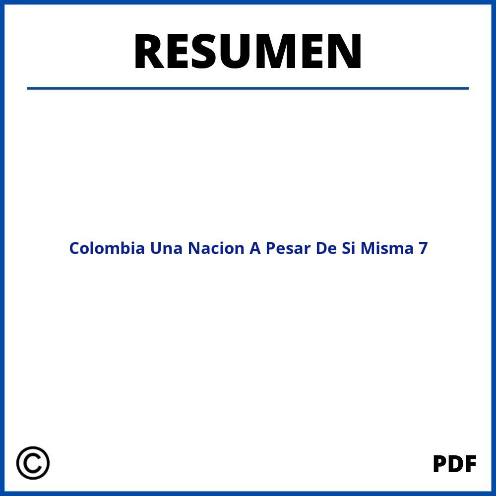 Colombia Una Nacion A Pesar De Si Misma Resumen Capitulo 7