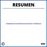 Resumen Competencias Contribuciones Criterios Y Evidencias