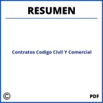 Contratos Codigo Civil Y Comercial Resumen