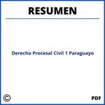 Resumen De Derecho Procesal Civil 1 Paraguayo