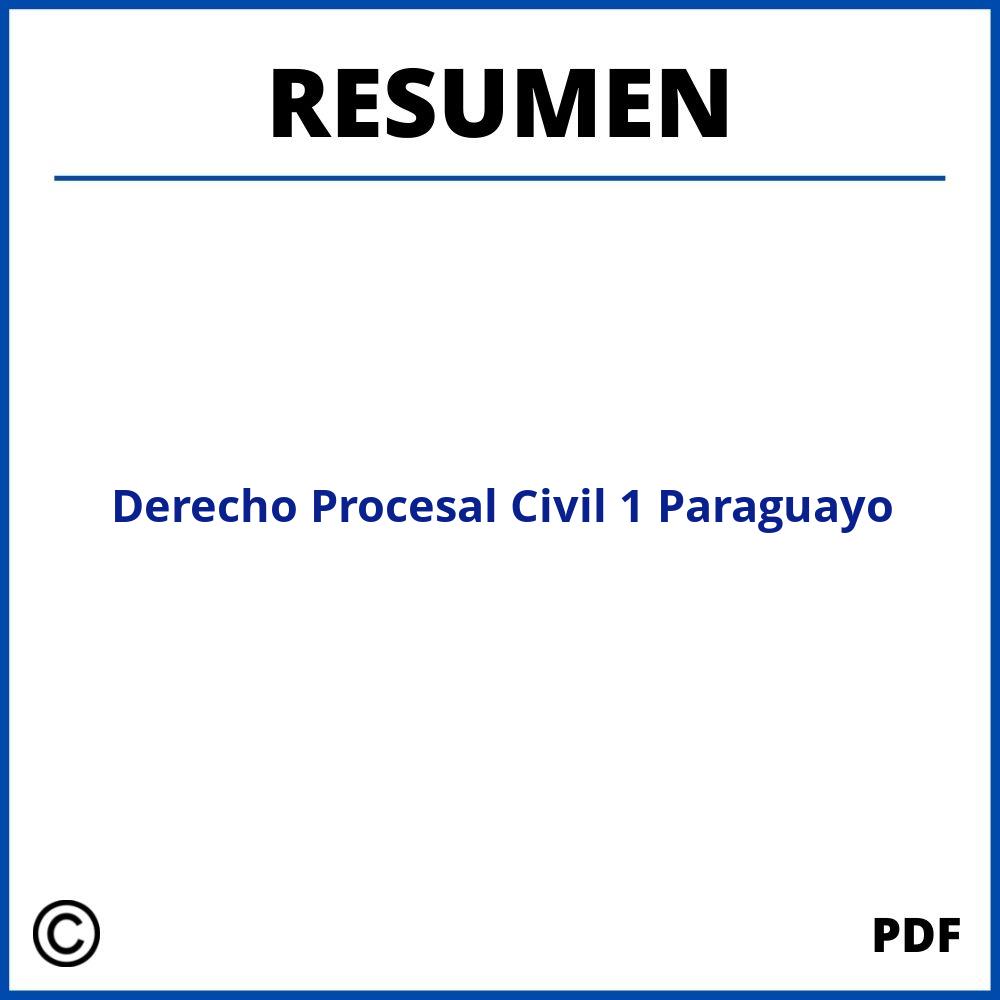 Resumen De Derecho Procesal Civil 1 Paraguayo