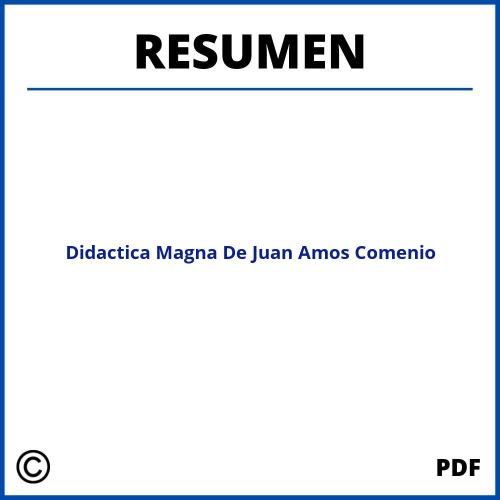Didactica Magna De Juan Amos Comenio Resumen