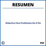 Didactica Para Profesores De A Pie Resumen