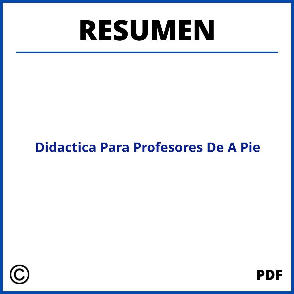 Didactica Para Profesores De A Pie Resumen
