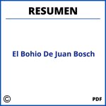 El Bohio De Juan Bosch Resumen