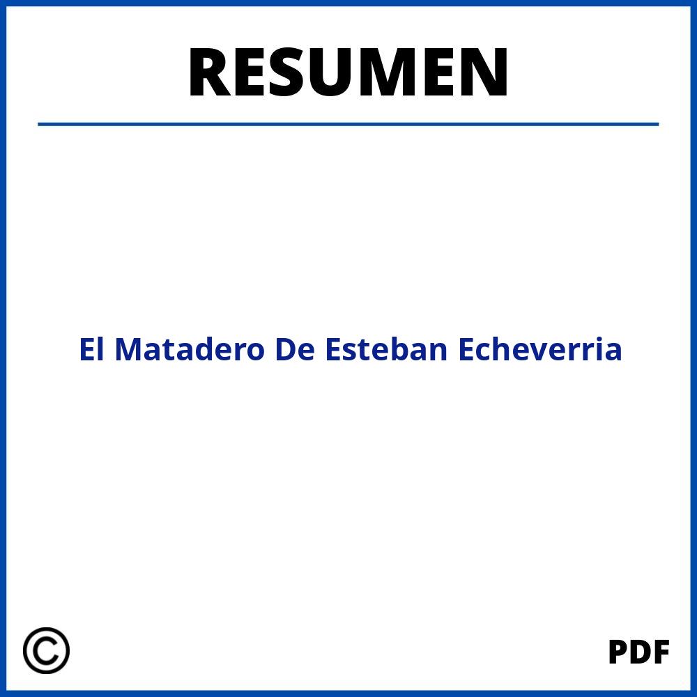 Resumen De El Matadero De Esteban Echeverria