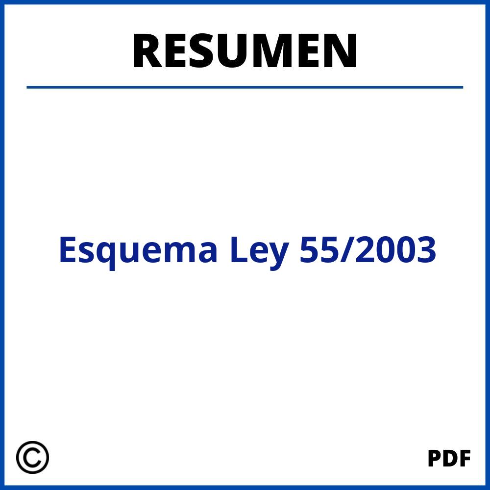 Esquema Resumen Ley 55/2003