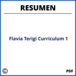 Flavia Terigi Curriculum Capitulo 1 Resumen
