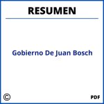 Gobierno De Juan Bosch Resumen