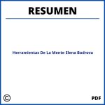 Herramientas De La Mente Elena Bodrova Resumen