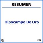 Resumen Del Hipocampo De Oro