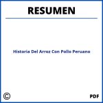 Historia Del Arroz Con Pollo Peruano Resumen