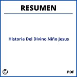 Historia Del Divino Niño Jesus Resumen