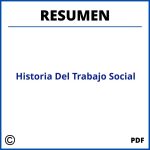 Historia Del Trabajo Social Resumen