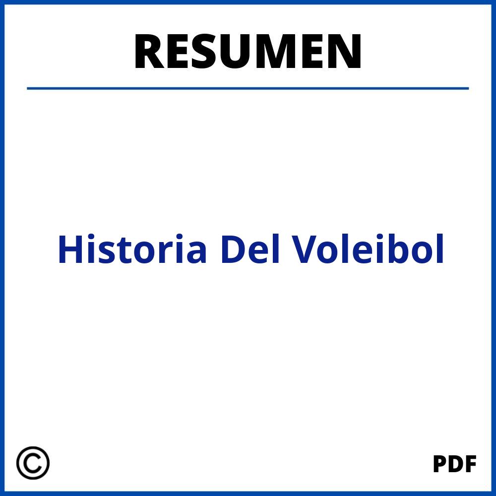 Historia Del Voleibol Resumen Pdf 8945