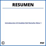 Introduccion Al Analisis Del Derecho Nino Capitulo 1 Resumen