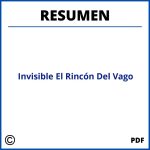 Resumen Del Libro Invisible El Rincón Del Vago