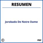Resumen Del Jorobado De Notre Dame