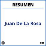 Juan De La Rosa Resumen