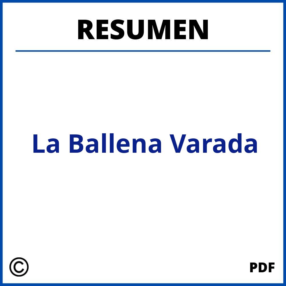 Resumen De La Ballena Varada