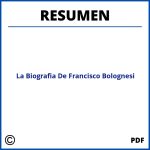 Resumen De La Biografia De Francisco Bolognesi