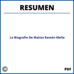 Resumen De La Biografía De Matías Ramón Mella
