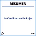 Resumen De La Candidatura De Rojas