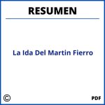 Resumen De La Ida Del Martin Fierro