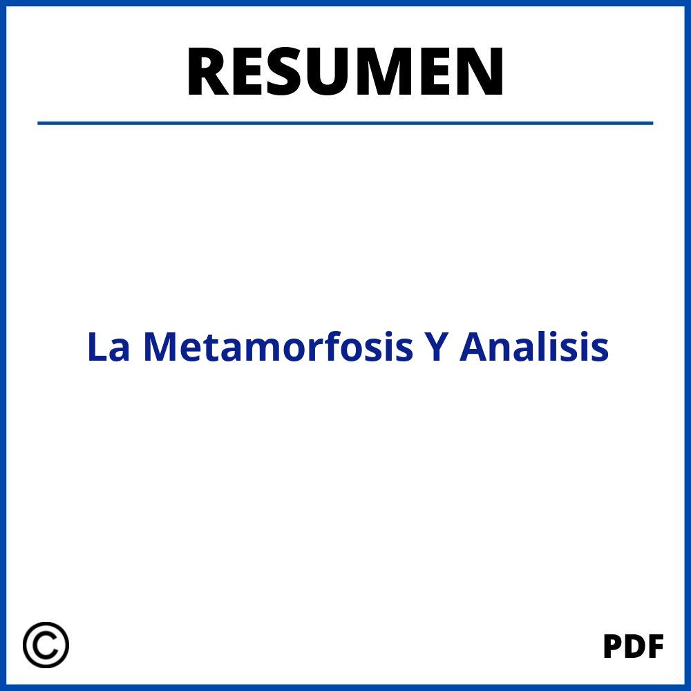 La Metamorfosis Resumen Y Analisis