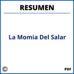 Resumen La Momia Del Salar