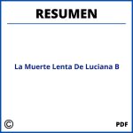La Muerte Lenta De Luciana B Resumen