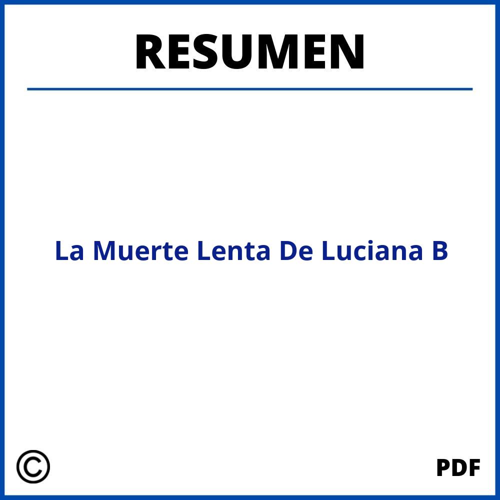 La Muerte Lenta De Luciana B Resumen