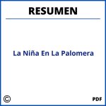 La Niña En La Palomera Resumen