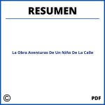 Resumen De La Obra Aventuras De Un Niño De La Calle Por Capitulos
