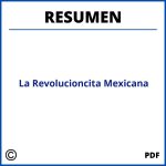 Resumen Del Libro La Revolucioncita Mexicana Por Capitulos