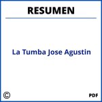 La Tumba Jose Agustin Resumen