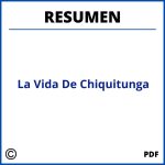 Resumen De La Vida De Chiquitunga