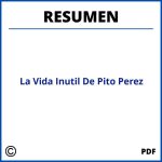 La Vida Inutil De Pito Perez Resumen Pdf